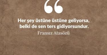 Her şey üstüne üstüne geliyorsa, belki de sen ters gidiyorsundur. Fransız Atasözü