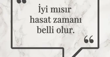 İyi mısır hasat zamanı belli olur. Afrika Atasözü