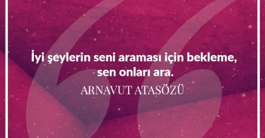İyi şeylerin seni araması için bekleme sen onları ara. Arnavut Atasözü
