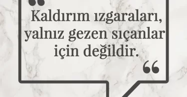 Kaldırım ızgaraları, yalnız gezen sıçanlar için değildir. Afrika Atasözü