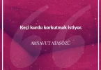 Keçi kurdu korkutmak istiyor. Arnavut Atasözü