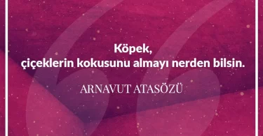 Köpek çiçeklerin kokusunu almayı nerden bilsin. Arnavut Atasözü