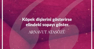 Köpek dişlerini gösterirse elindeki sopayı göster. Arnavut Atasözü