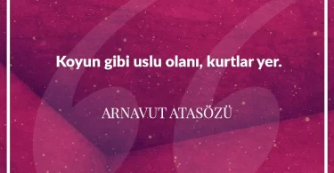 Koyun gibi uslu olanı kurtlar yer. Arnavut Atasözü