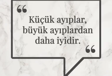 Küçük ayıplar, büyük ayıplardan daha iyidir. Afrika Atasözü