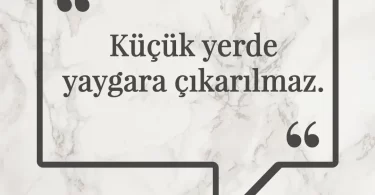 Küçük yerde yaygara çıkarılmaz. Afrika Atasözü
