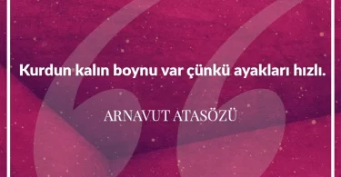 Kurdun kalın boynu var çünkü ayakları hızlı. Arnavut Atasözü