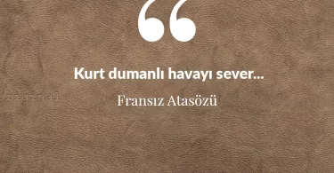 Kurt dumanlı havayı sever. Fransız Atasözü