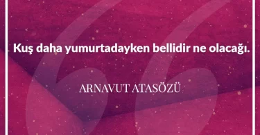 Kuş daha yumurtadayken bellidir ne olacağı. Arnavut Atasözü