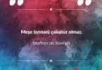 Meşe (orman) çakalsız olmaz. Azerbaycan Atasözü
