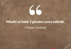 Misafir ve balık 3 günden sonra zehirdir. Fransız Atasözü