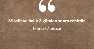 Misafir ve balık 3 günden sonra zehirdir. Fransız Atasözü