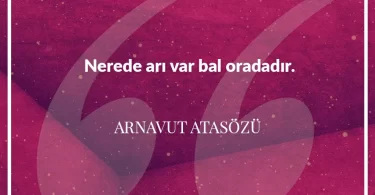 Nerede arı var bal oradadır. Arnavut Atasözü
