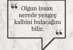 Olgun insan nerede yengeç kalbini bulacağını bilir. Afrika Atasözü