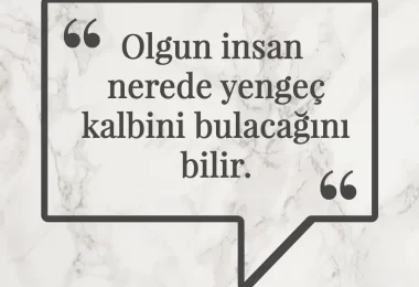 Olgun insan nerede yengeç kalbini bulacağını bilir. Afrika Atasözü