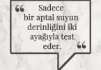 Sadece bir aptal suyun derinliğini iki ayağıyla test eder. Afrika Atasözü