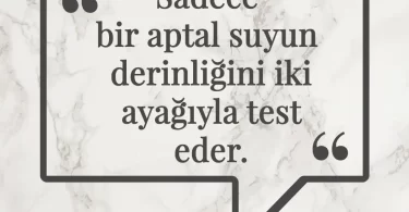 Sadece bir aptal suyun derinliğini iki ayağıyla test eder. Afrika Atasözü