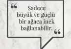 Sadece büyük ve güçlü bir ağaca inek bağlanabilir. Afrika Atasözü
