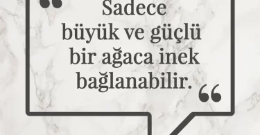 Sadece büyük ve güçlü bir ağaca inek bağlanabilir. Afrika Atasözü
