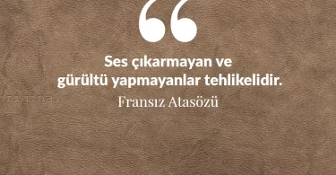 Ses çıkarmayan ve gürültü yapmayanlar tehlikelidir. Fransız Atasözü
