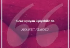 Sıcak uyuyan üşüyebilir de. Arnavut Atasözü
