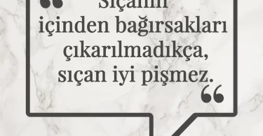 Sıçanın içinden bağırsakları çıkarılmadıkça, sıçan iyi pişmez. Afrika Atasözü