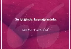 Su içtiğinde kaynağı hatırla. Arnavut Atasözü