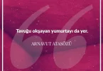 Tavuğu okşayan yumurtayı da yer. Arnavut Atasözü