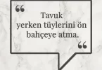 Tavuk yerken tüylerini ön bahçeye atma. Afrika Atasözü