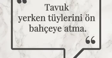 Tavuk yerken tüylerini ön bahçeye atma. Afrika Atasözü