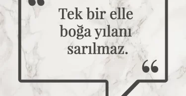Tek bir elle boğa yılanı sarılmaz. Afrika Atasözü
