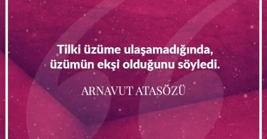 Tilki üzüme ulaşamadığında üzümün ekşi olduğunu söyledi. Arnavut Atasözü
