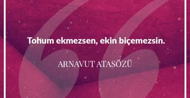 Tohum ekmezsen ekin biçemezsin. Arnavut Atasözü