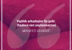 Yaşlılık arkadaşlar ile gelir sadece sen yaşlanmazsın. Arnavut Atasözü