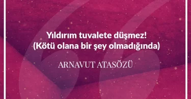 Yıldırım tuvalete düşmez. (Kötü olana bir şey olmadığında.) Arnavut Atasözü