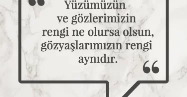 Yüzümüzün ve gözlerimizin rengi ne olursa olsun, gözyaşlarımızın rengi aynıdır. Afrika Atasözü