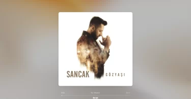 Sancak - Bırak Şarkı Sözleri